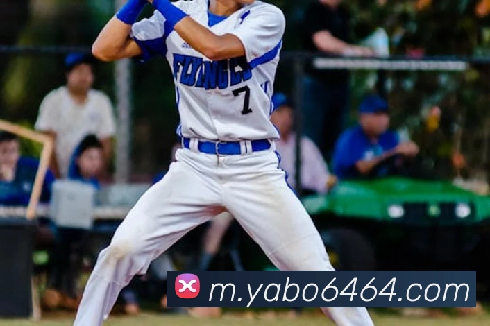 yb亚博全站App